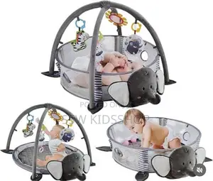 Photo - Activity Gym and Ball Pit