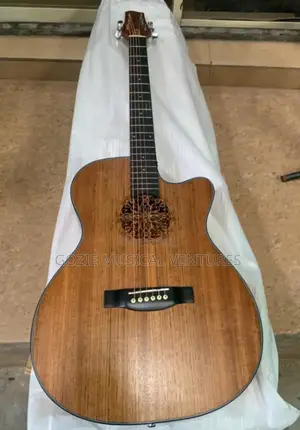 Lg _09 Simger Semi Accustic Guiter