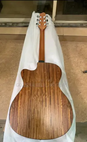 Lg _09 Simger Semi Accustic Guiter