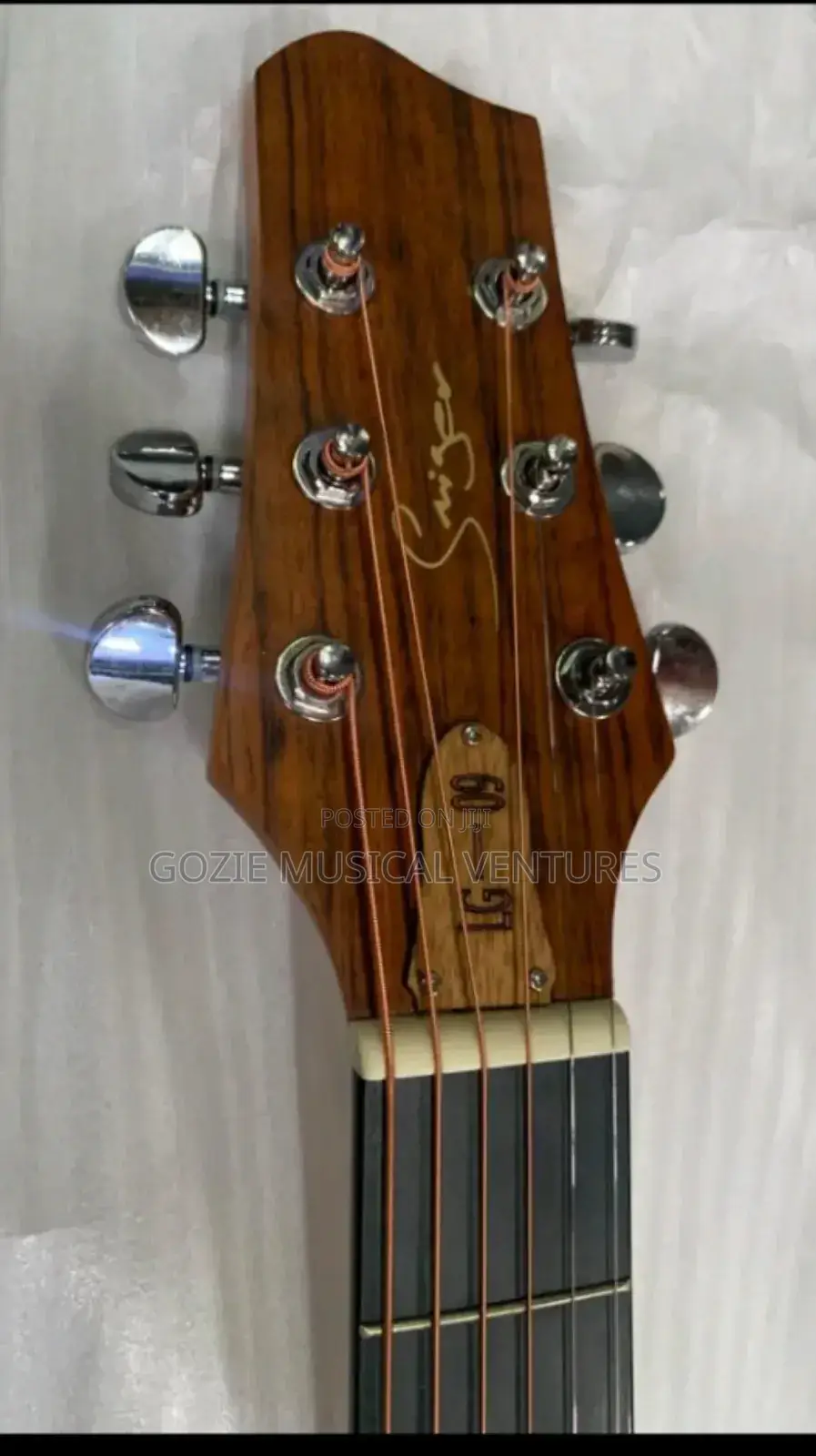 Lg _09 Simger Semi Accustic Guiter