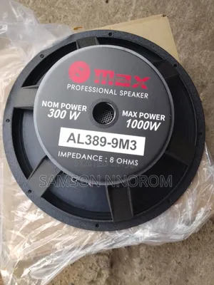 Photo - 18" Max Professional Speaker With Big Magnet