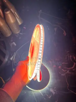 220v Led Strip Light With Eu Power Plug 120leds/M Adhesive