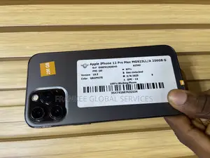 Apple iPhone 12 Pro Max 256 GB Black