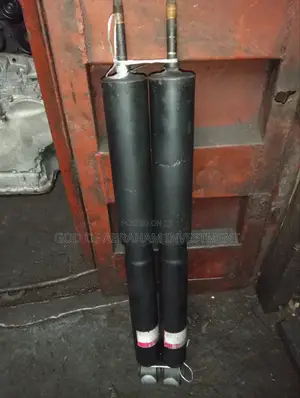 Toyota 4runner Back Shock Absorber 2010