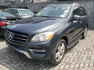 Photo - Mercedes-Benz M Class 2015 Gray