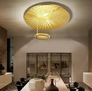 Luxury Metal Mercury Ceiling Lamp Art Decor