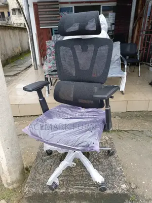 Executive Ergonomic Chair