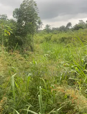 A Plot of Land for Sale
