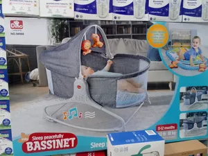 Baby Bassinet and Rocker