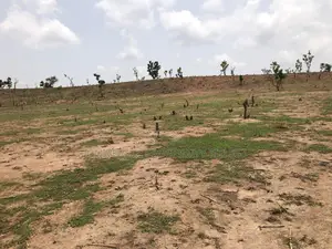 3.5 Hectares Multipurpose Land for Sale in Karshi