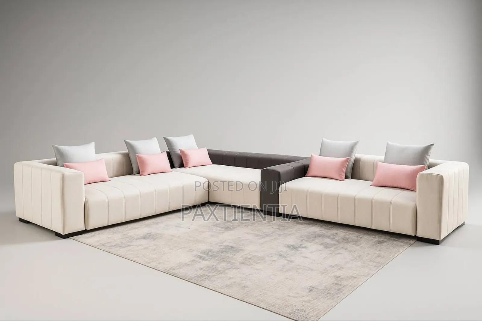 Aesthetic Sectional Sofa Set