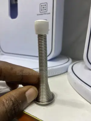 Stainless Steel Spring Hinges