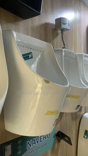 Luxury Modern Urinary Bowl