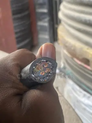 2.5mm 4 Core Armored Cable