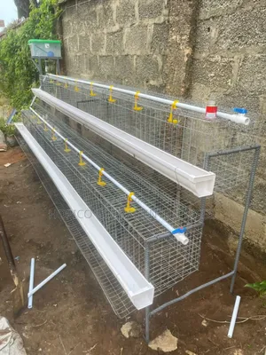 64 Birds Capacity Half Side Cage