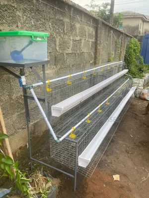 64 Birds Capacity Half Side Cage
