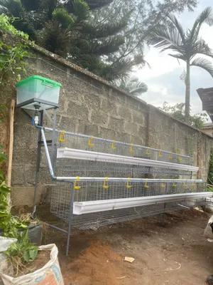 64 Birds Capacity Half Side Cage