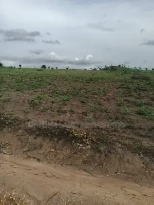 Uprooted Land Available for Sale Comes With C of O