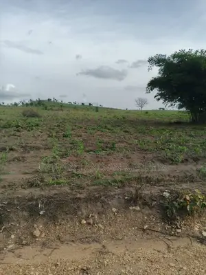 Uprooted Land Available for Sale Comes With C of O