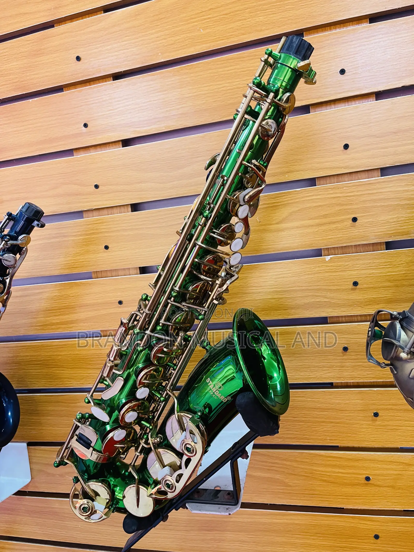 Standard Alto Saxophone