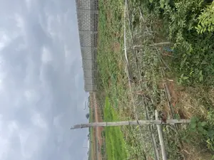 700 SQM Around Idu Nizamiye