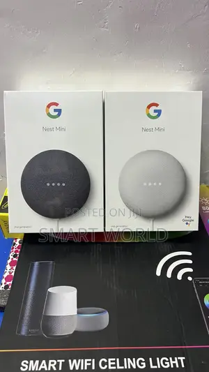 Google Nest Mini 2nd Gen