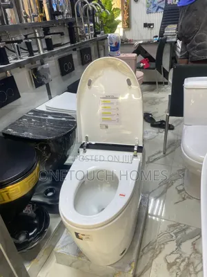 Sensor Toilet