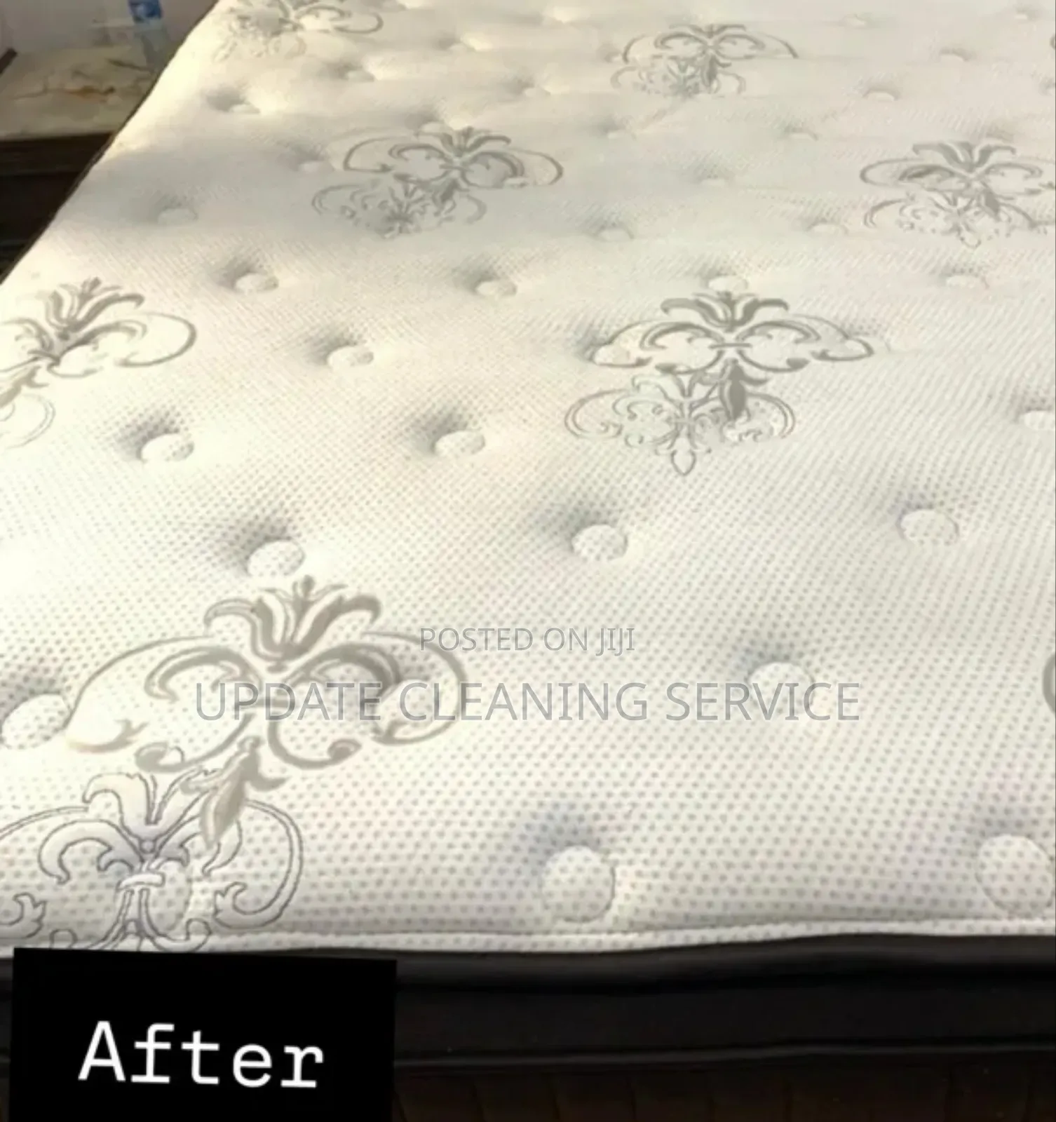 Book Your Sofa Cleaning and Enjoy Our Premium Service