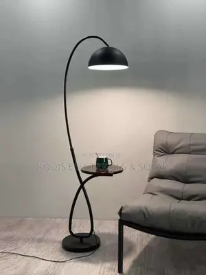 Luxurious Floor Lamp