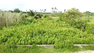 2 Acres Land Near Coastal Road