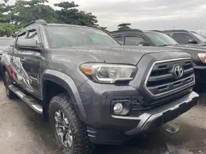 Toyota Tacoma Limited 2019 Gray