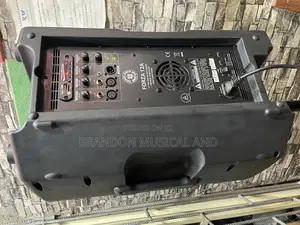 Active 12 Inches Speaker