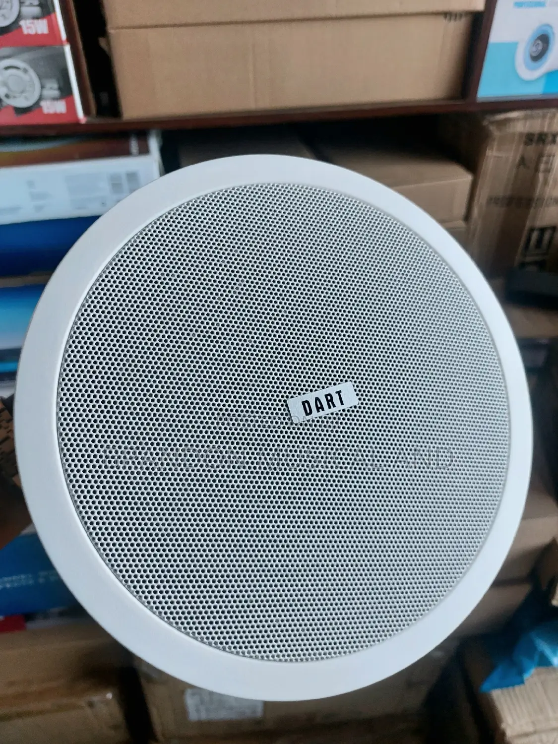 Ceiling Speaker