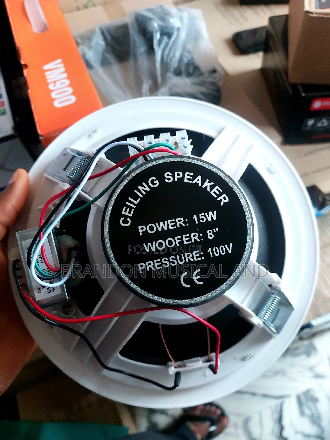 Ceiling Speaker