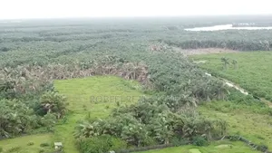 Urgent Sales 50 Acres Land