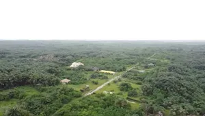 Urgent 50 Acres Sales