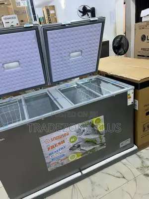 Snowsea 420l Freezer Bd-600g: The Ultimate Storage Solution