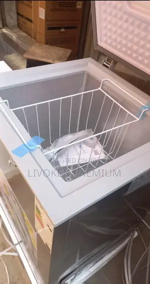 100l Snowsea Freezer