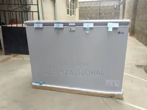 Tough Build Lg Freezer 280l Capacity With Led Lights