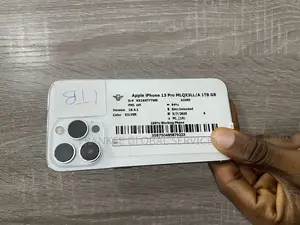 Apple iPhone 13 Pro 1 TB Silver