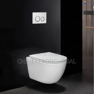 Conduit Wc /Conceal Water Closet Original Flushing System