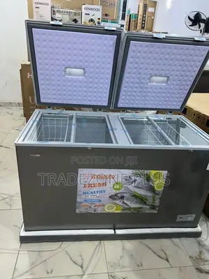 Snowsea Bd-600g Freezer–Ideal for Grocery Catering Storage