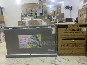 Snowsea 420 L Freezer – Big Capacity, Small Energy Footprint