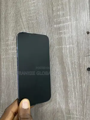 Apple iPhone 13 Pro 1 TB Blue