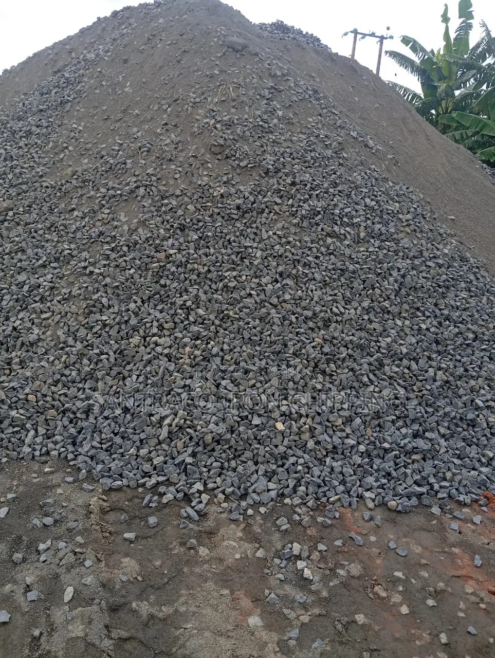 Black Chipping