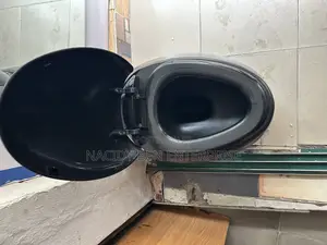 Black Conceal Wc (Egg Shaped)