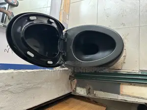 Black Conceal Wc (Egg Shaped)