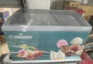 Snowsea Ice Cream Display Freezer