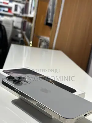Apple iPhone 16 Pro Max 256 GB Gray