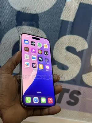 Apple iPhone 15 Pro Max 256 GB Silver